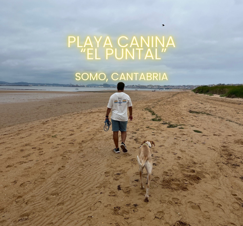 El Puntal: Playa para perros en Cantabria