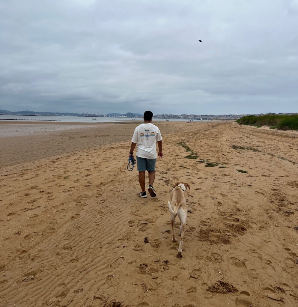 Playa canina en Somo, Cantabria